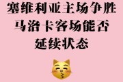 开云体育APP下载-关于马洛卡主场完胜埃尔切，保住领先优势的信息