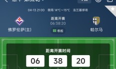 开云体育官方网站-帕尔马主场战胜佛罗伦萨，实现连胜状态