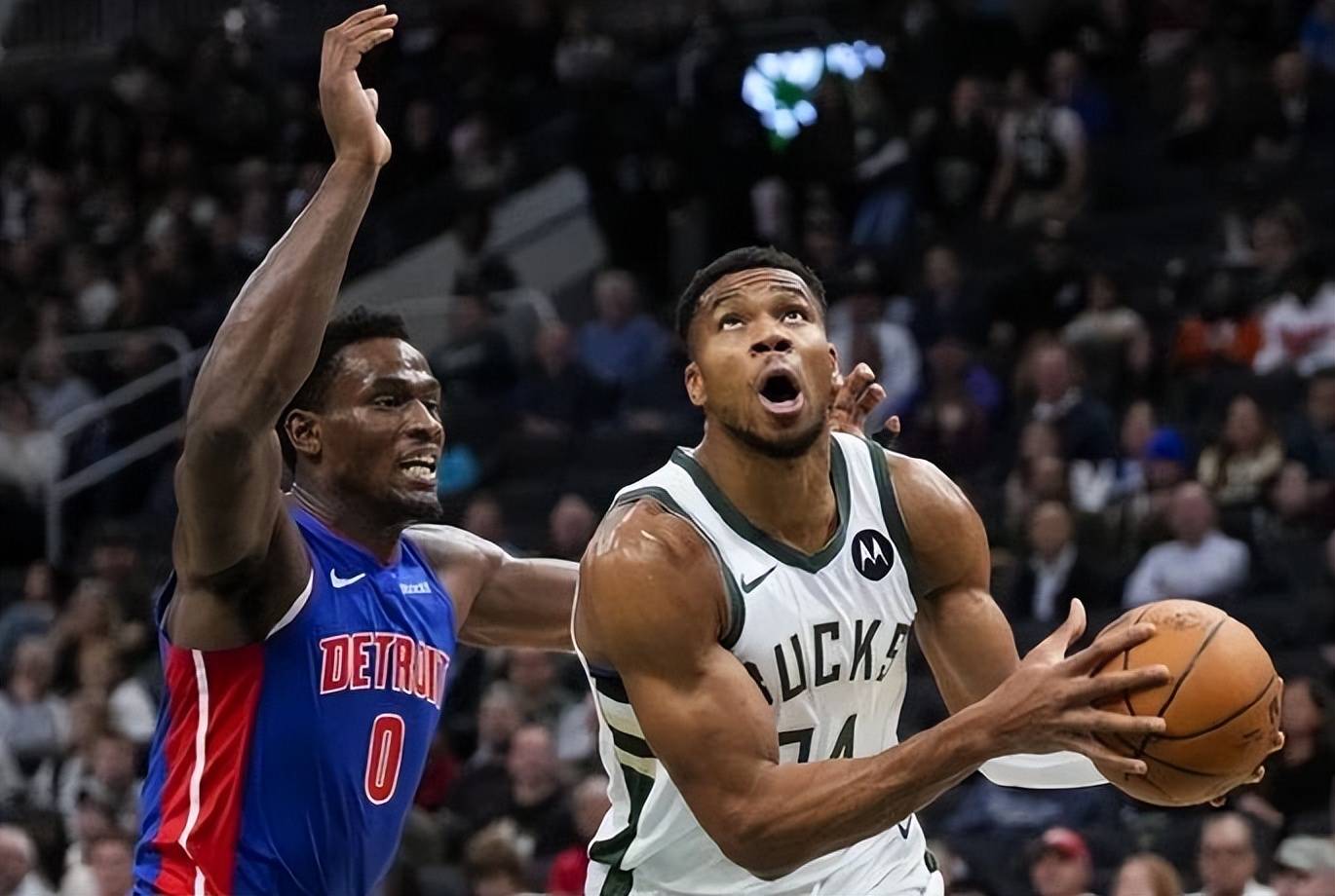 雄鹿队再胜森林狼队,字母哥30+10全 雄鹿队再胜森林狼队,字母哥30+10全