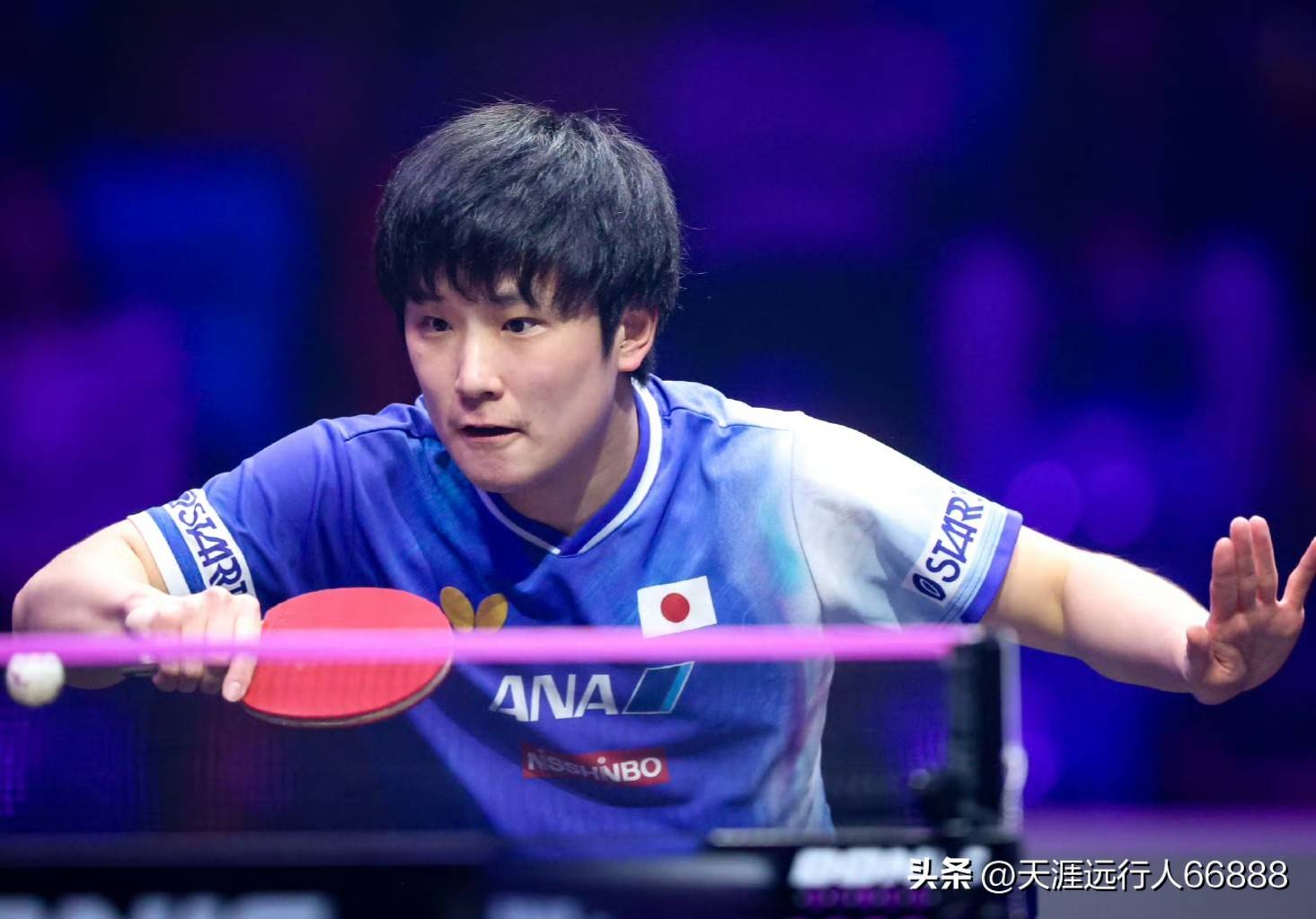 奥地利队横扫德国队,张本智和带队取胜的简单介绍 奥地利队横扫德国队,张本智和带队取胜的简单介绍